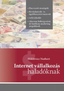 Internet vállalkozás haladóknak könyv és e-book borítója